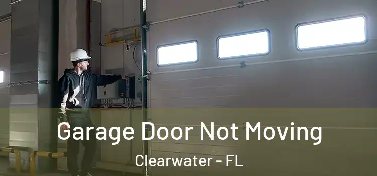  Garage Door Not Moving Clearwater - FL