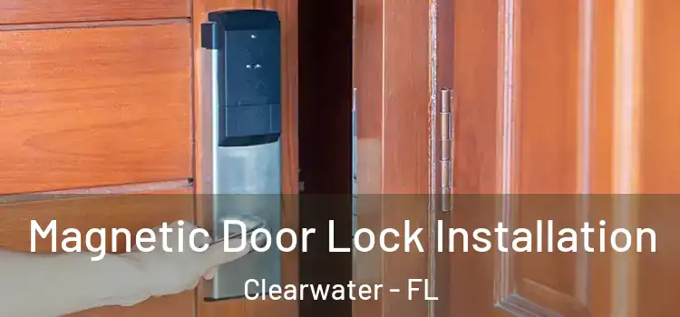  Magnetic Door Lock Installation Clearwater - FL