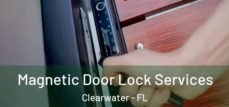 Magnetic Door Lock Services Clearwater - FL